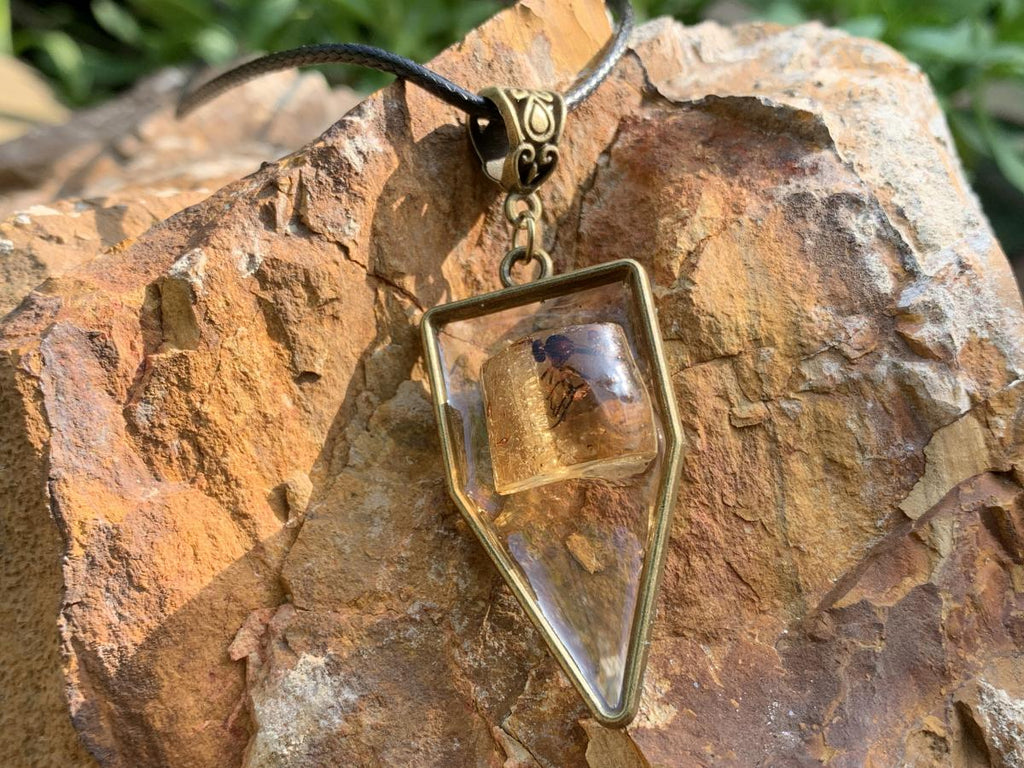 Hand Made Amber Pendant with Dragonfly Ancestor by Adre Designs x 1 From Nosy Varika, Madagascar