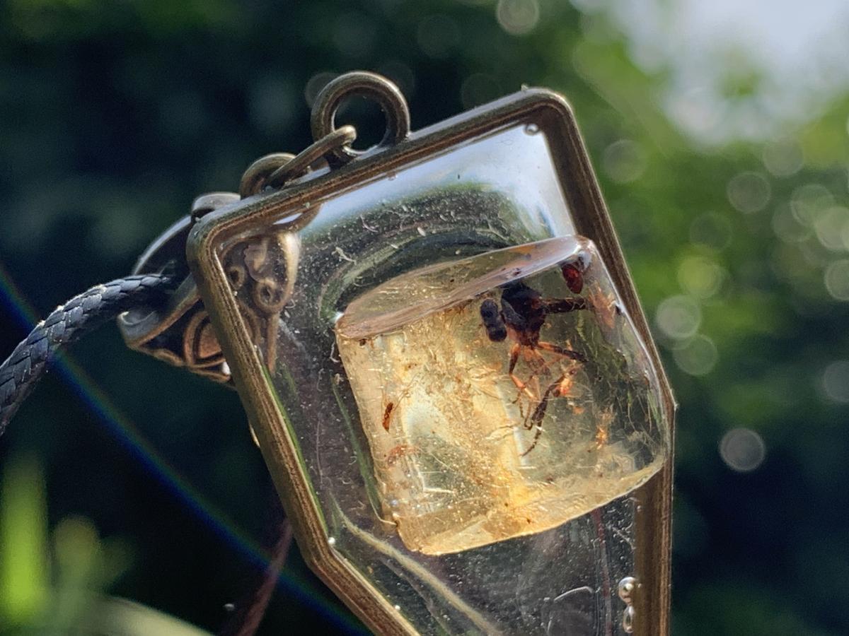 Hand Made Amber Pendant with Dragonfly Ancestor by Adre Designs x 1 From Nosy Varika, Madagascar