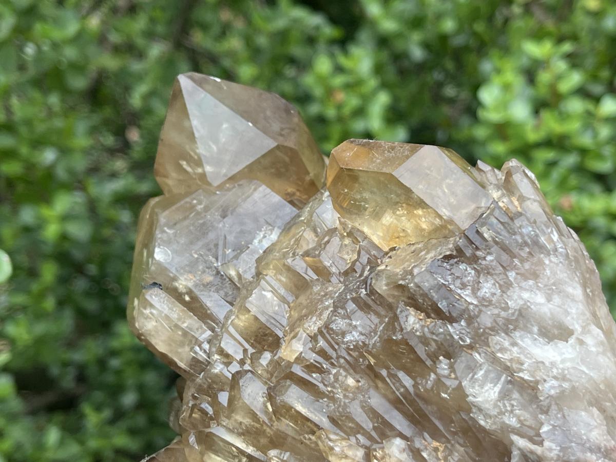 Natural Citrine Crystal Cluster x 1 From Luena, Congo
