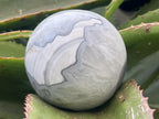 Polished Agate Sphere x 1 From Shashe River, Zimbabwe