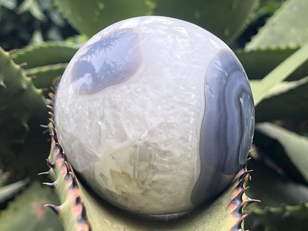 Polished Agate Sphere x 1 From Shashe River, Zimbabwe