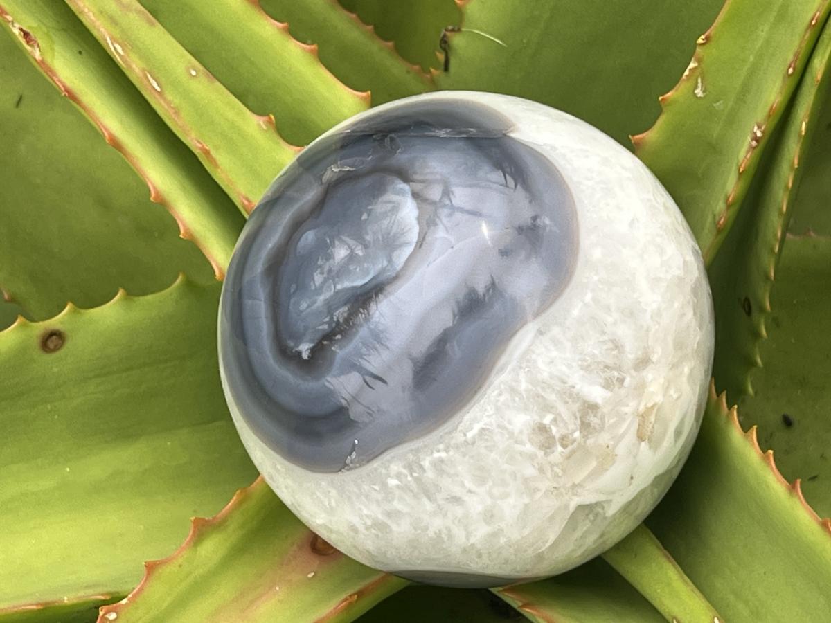 Polished Agate Sphere x 1 From Shashe River, Zimbabwe