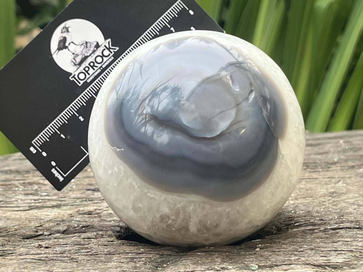 Polished Agate Sphere x 1 From Shashe River, Zimbabwe