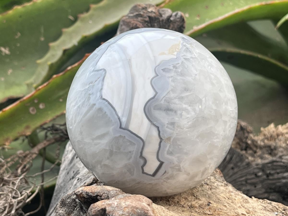 Polished Agate Sphere x 1 From Shashe River, Zimbabwe