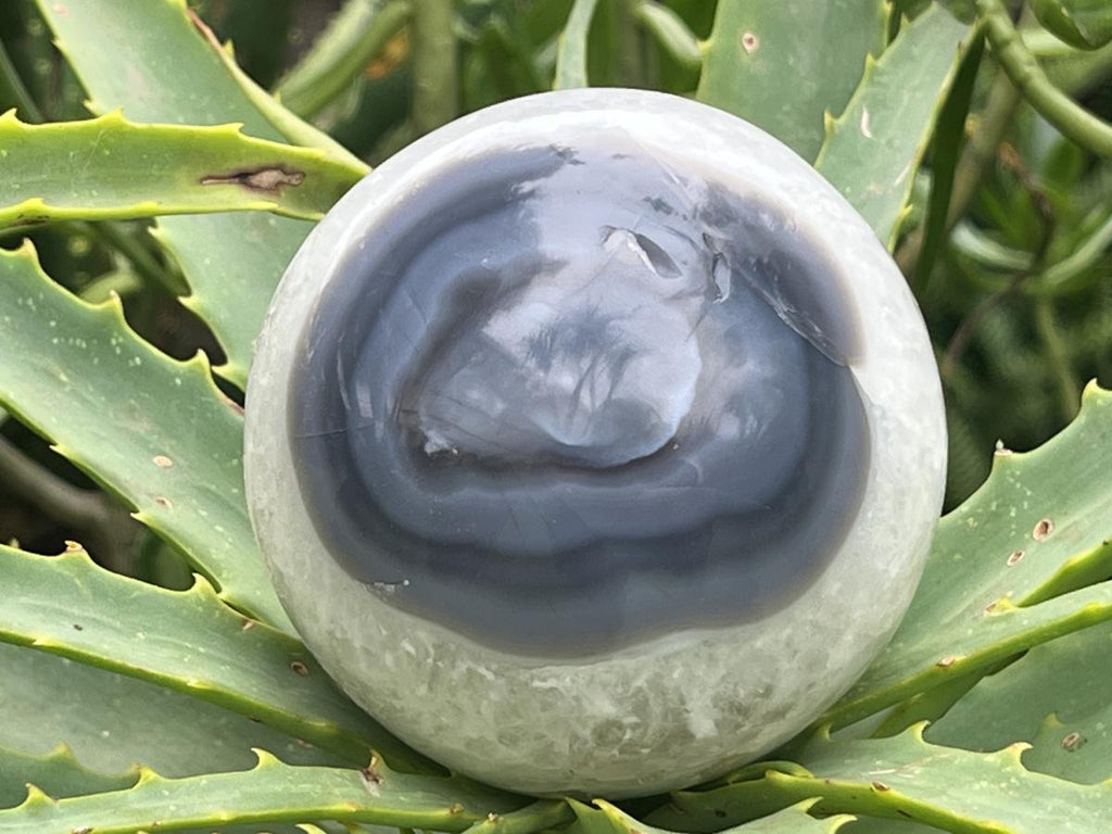 Polished Agate Sphere x 1 From Shashe River, Zimbabwe