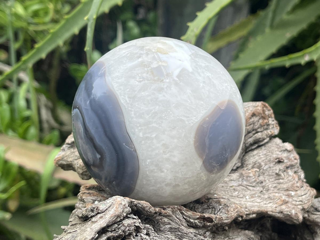 Polished Agate Sphere x 1 From Shashe River, Zimbabwe