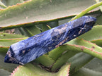 Polished Double Terminated Sodalite Crystal x 1 From Kunene, Namibia
