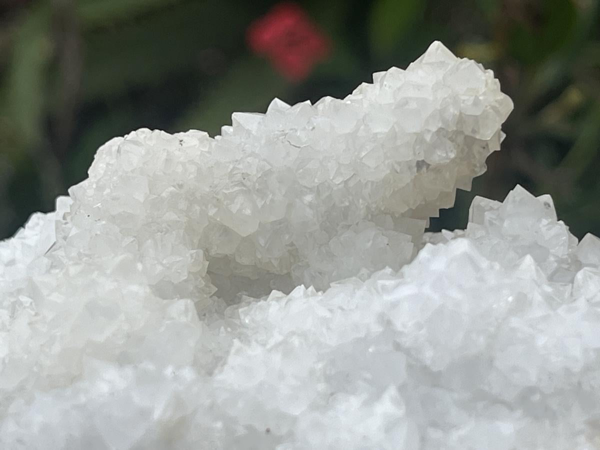 Natural Sparkling Snow Finger Crystal Cluster Plate x 1 From Albert's Mountain, Lesotho