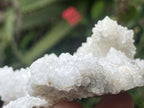 Natural Sparkling Snow Finger Crystal Cluster Plate x 1 From Albert's Mountain, Lesotho