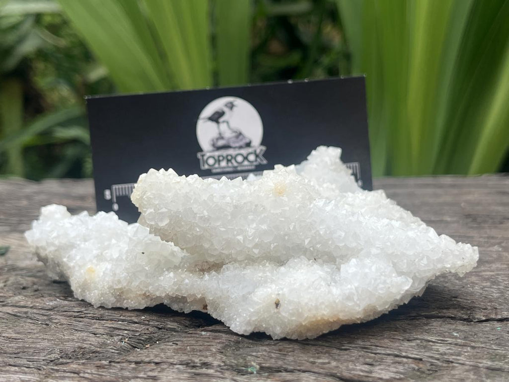 Natural Sparkling Snow Finger Crystal Cluster Plate x 1 From Albert's Mountain, Lesotho