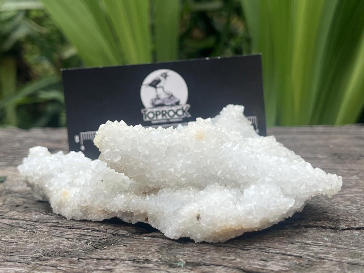 Natural Sparkling Snow Finger Crystal Cluster Plate x 1 From Albert's Mountain, Lesotho