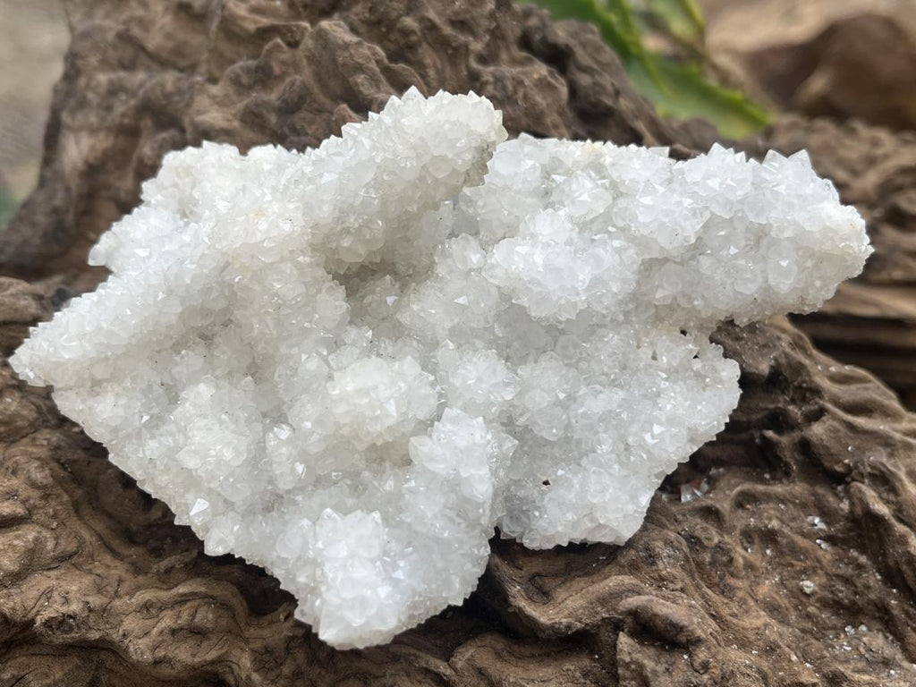 Natural Sparkling Snow Finger Crystal Cluster Plate x 1 From Albert's Mountain, Lesotho