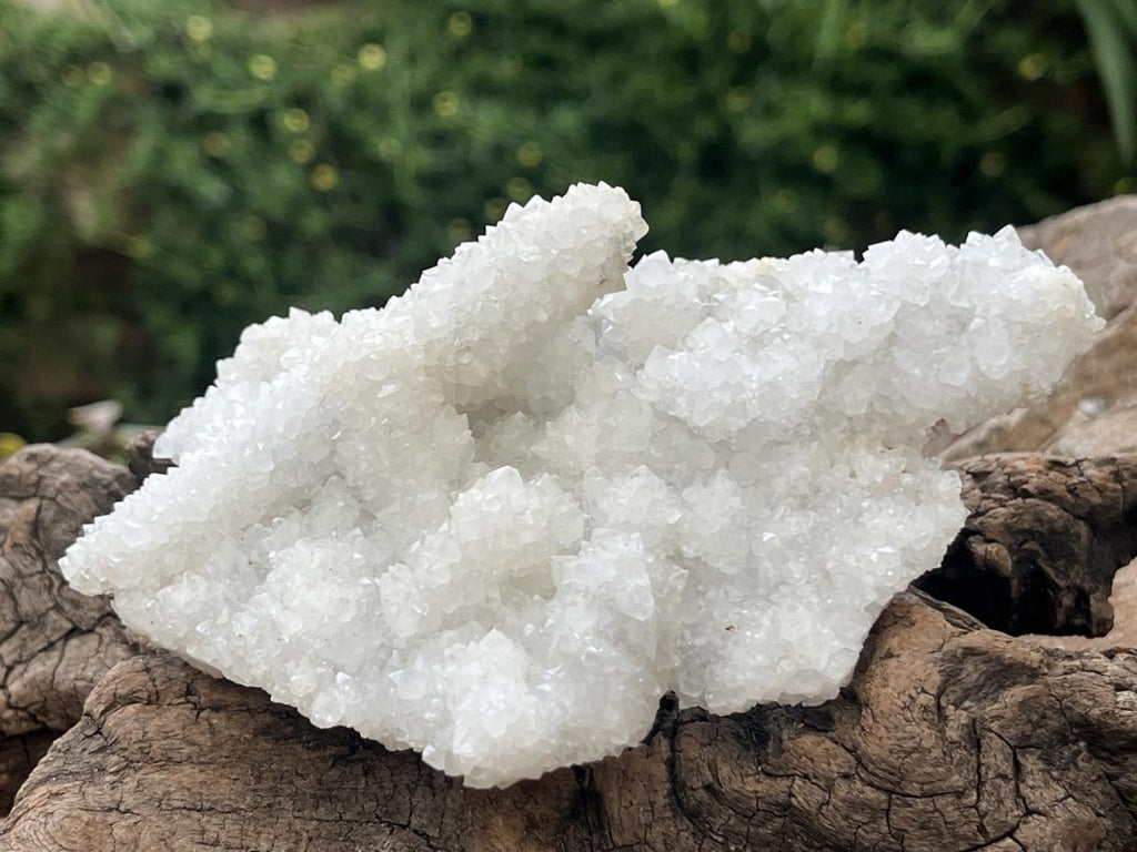 Natural Sparkling Snow Finger Crystal Cluster Plate x 1 From Albert's Mountain, Lesotho
