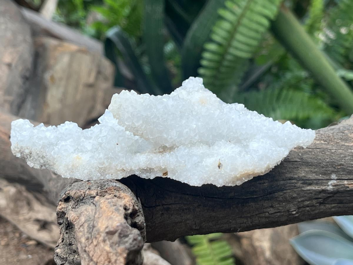 Natural Sparkling Snow Finger Crystal Cluster Plate x 1 From Albert's Mountain, Lesotho