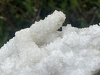 Natural Sparkling Snow Finger Crystal Cluster Plate x 1 From Albert's Mountain, Lesotho