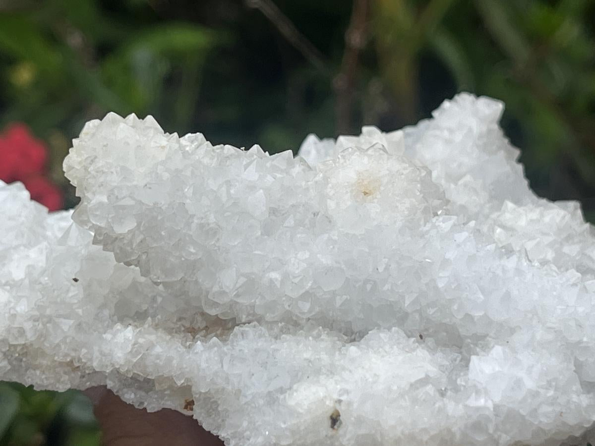 Natural Sparkling Snow Finger Crystal Cluster Plate x 1 From Albert's Mountain, Lesotho