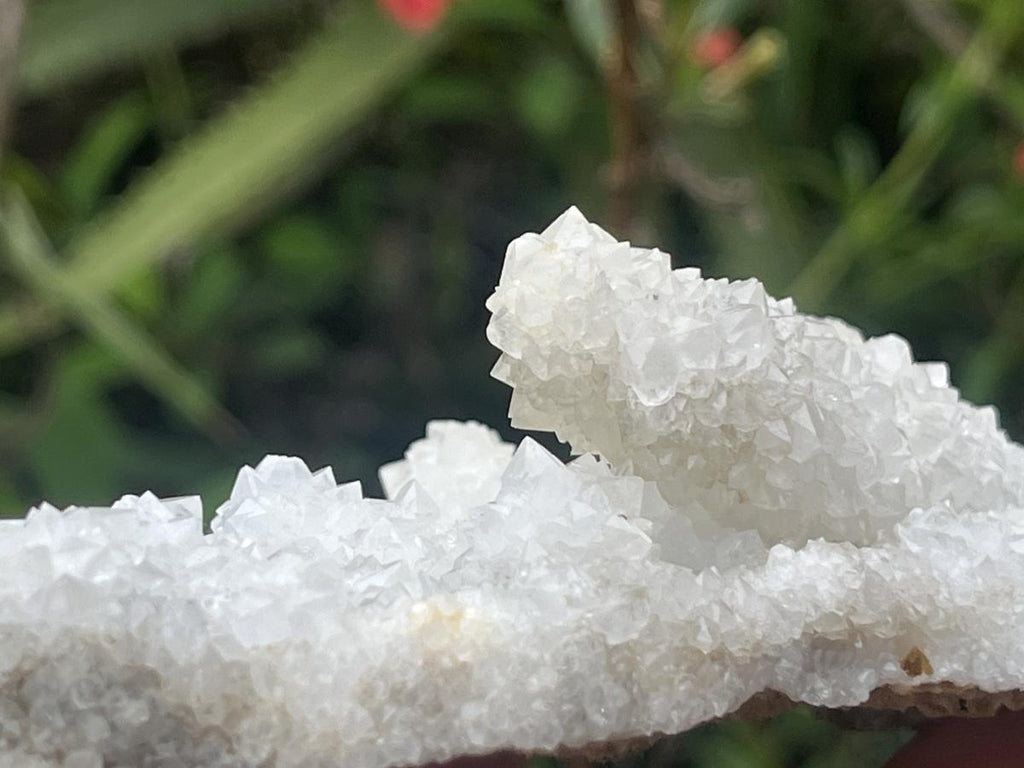 Natural Sparkling Snow Finger Crystal Cluster Plate x 1 From Albert's Mountain, Lesotho