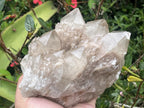 Natural Cascading White Phantom Smokey Quartz Cluster x 1 From Luena, Congo