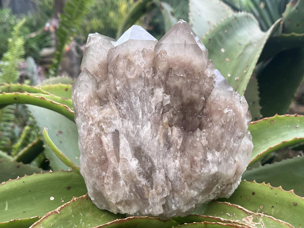 Natural Cascading White Phantom Smokey Quartz Cluster x 1 From Luena, Congo