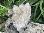 Natural Cascading White Phantom Smokey Quartz Cluster x 1 From Luena, Congo
