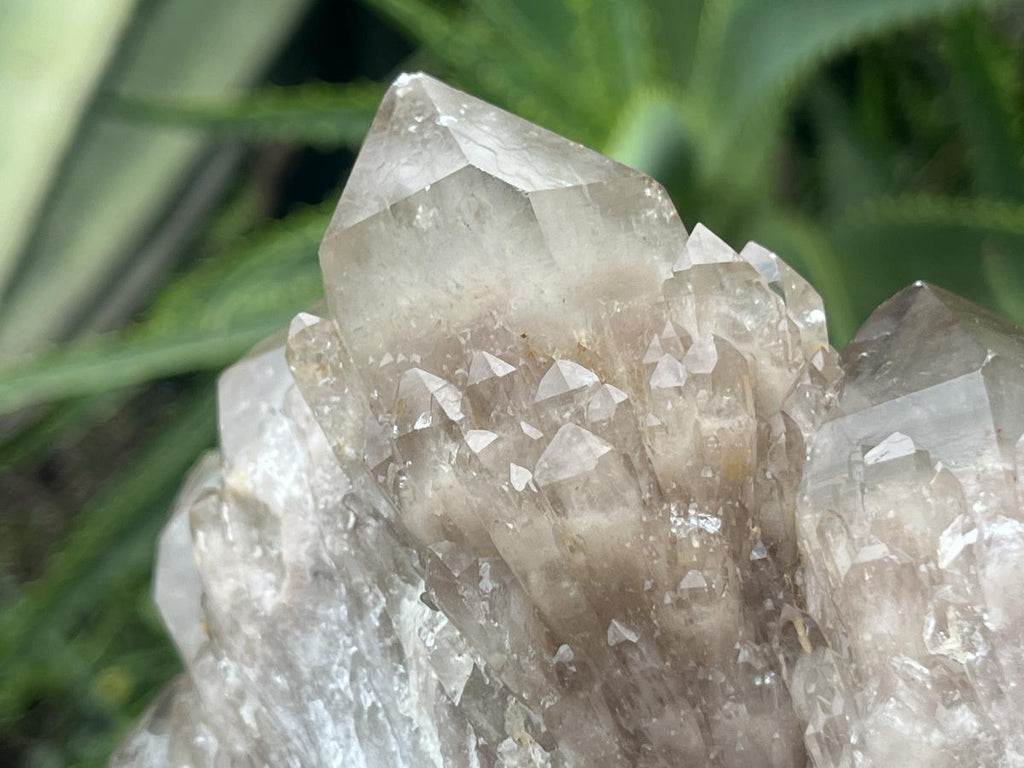 Natural Cascading White Phantom Smokey Quartz Cluster x 1 From Luena, Congo