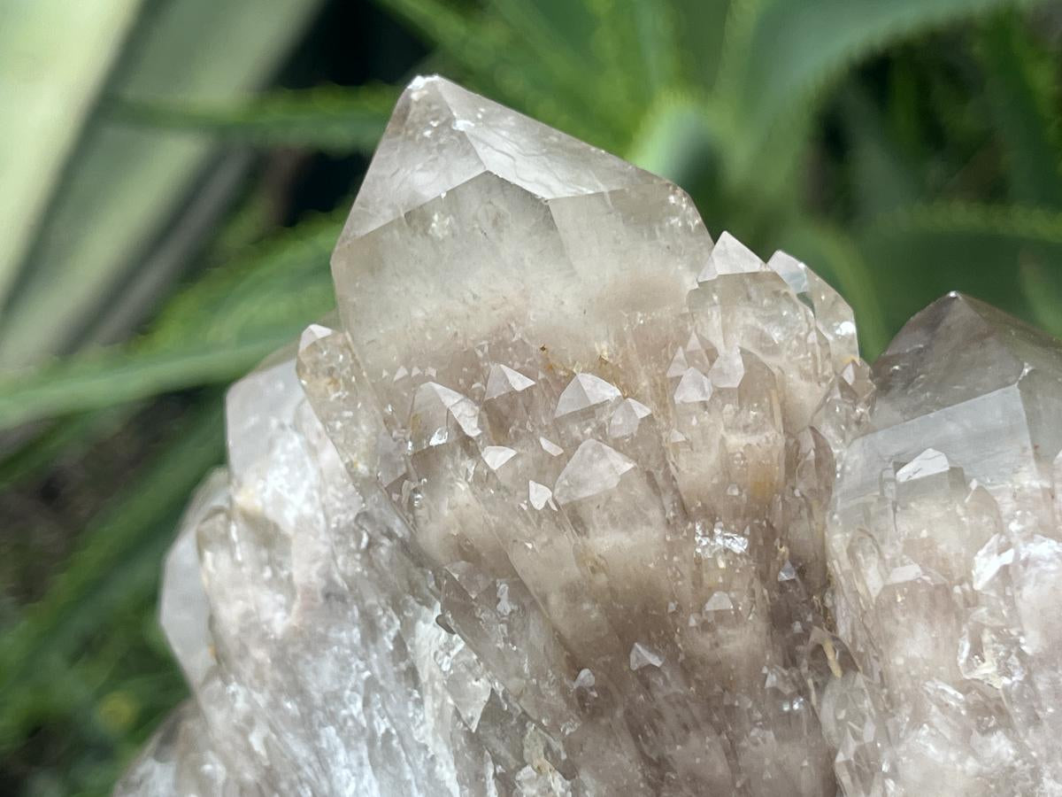 Natural Cascading White Phantom Smokey Quartz Cluster x 1 From Luena, Congo