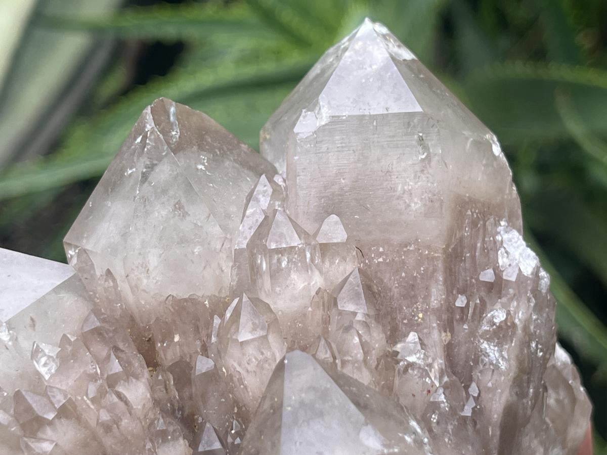 Natural Cascading White Phantom Smokey Quartz Cluster x 1 From Luena, Congo