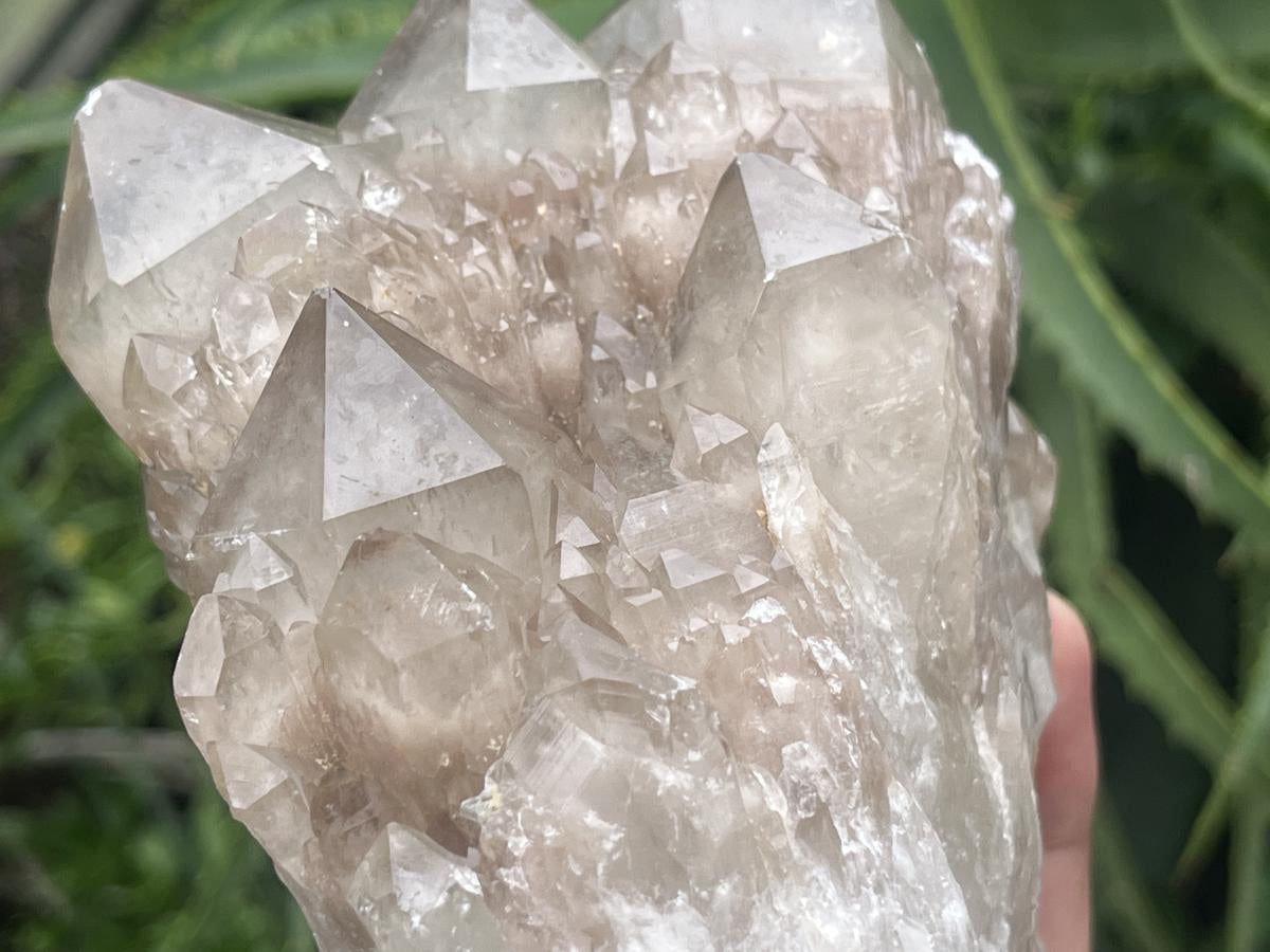 Natural Cascading White Phantom Smokey Quartz Cluster x 1 From Luena, Congo