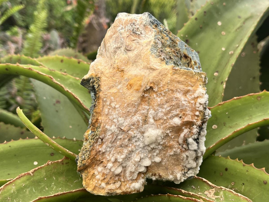 Natural Rare Foitite Coated Feldspar Specimen x 1 From Erongo Mountain, Namibia