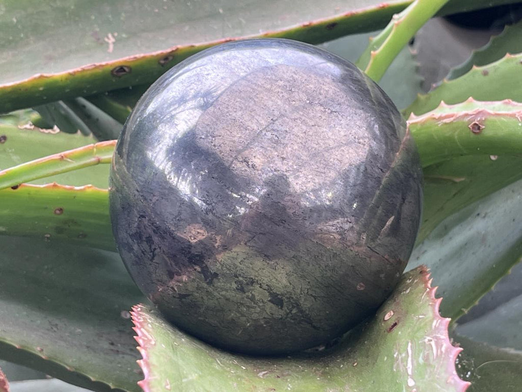 Polished Bright Gold Pharaoh Stone Sphere x 1 From Iron Duke Mine, Zimbabwe
