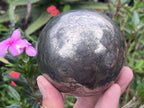 Polished Bright Gold Pharaoh Stone Sphere x 1 From Iron Duke Mine, Zimbabwe