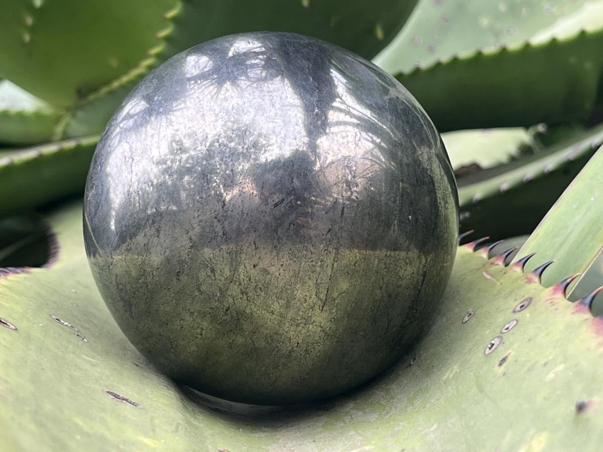 Polished Bright Gold Pharaoh Stone Sphere x 1 From Iron Duke Mine, Zimbabwe