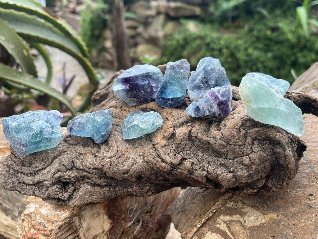 Natural Gemmy Translucent Watermelon Fluorite Pieces x 42 From Uis, Namibia