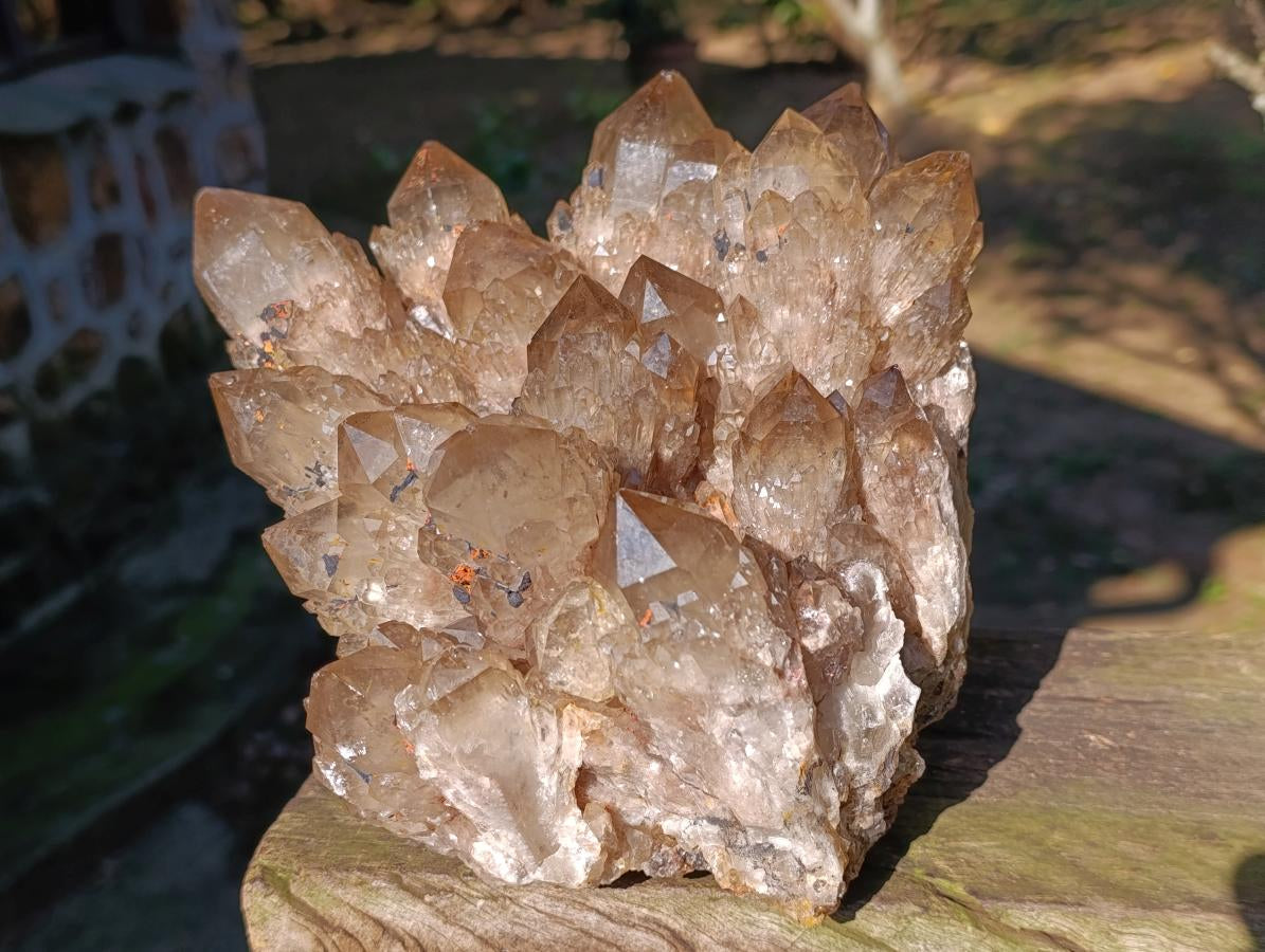 Natural XL Smokey Citrine Crystal Cluster x 1 From Luena, Congo