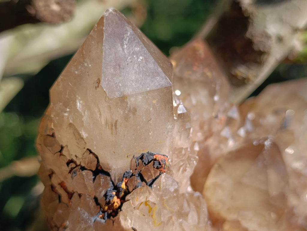 Natural XL Smokey Citrine Crystal Cluster x 1 From Luena, Congo