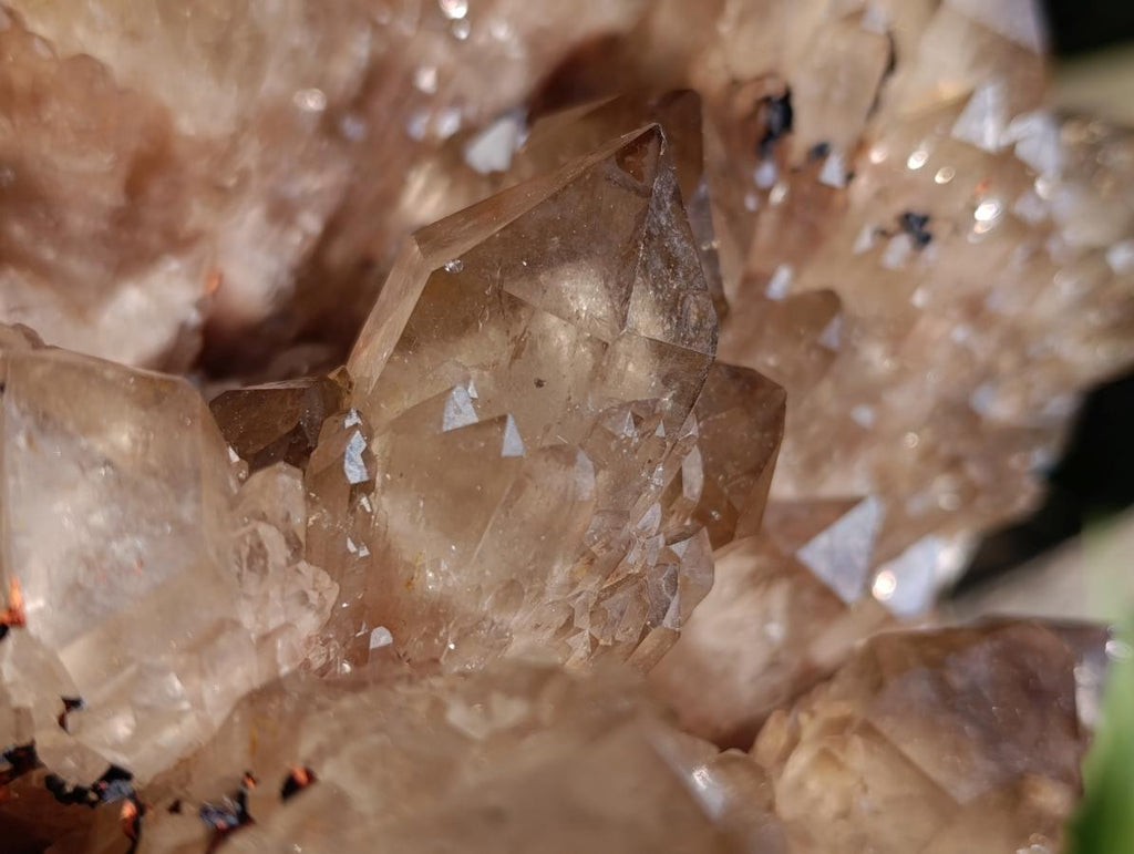 Natural XL Smokey Citrine Crystal Cluster x 1 From Luena, Congo