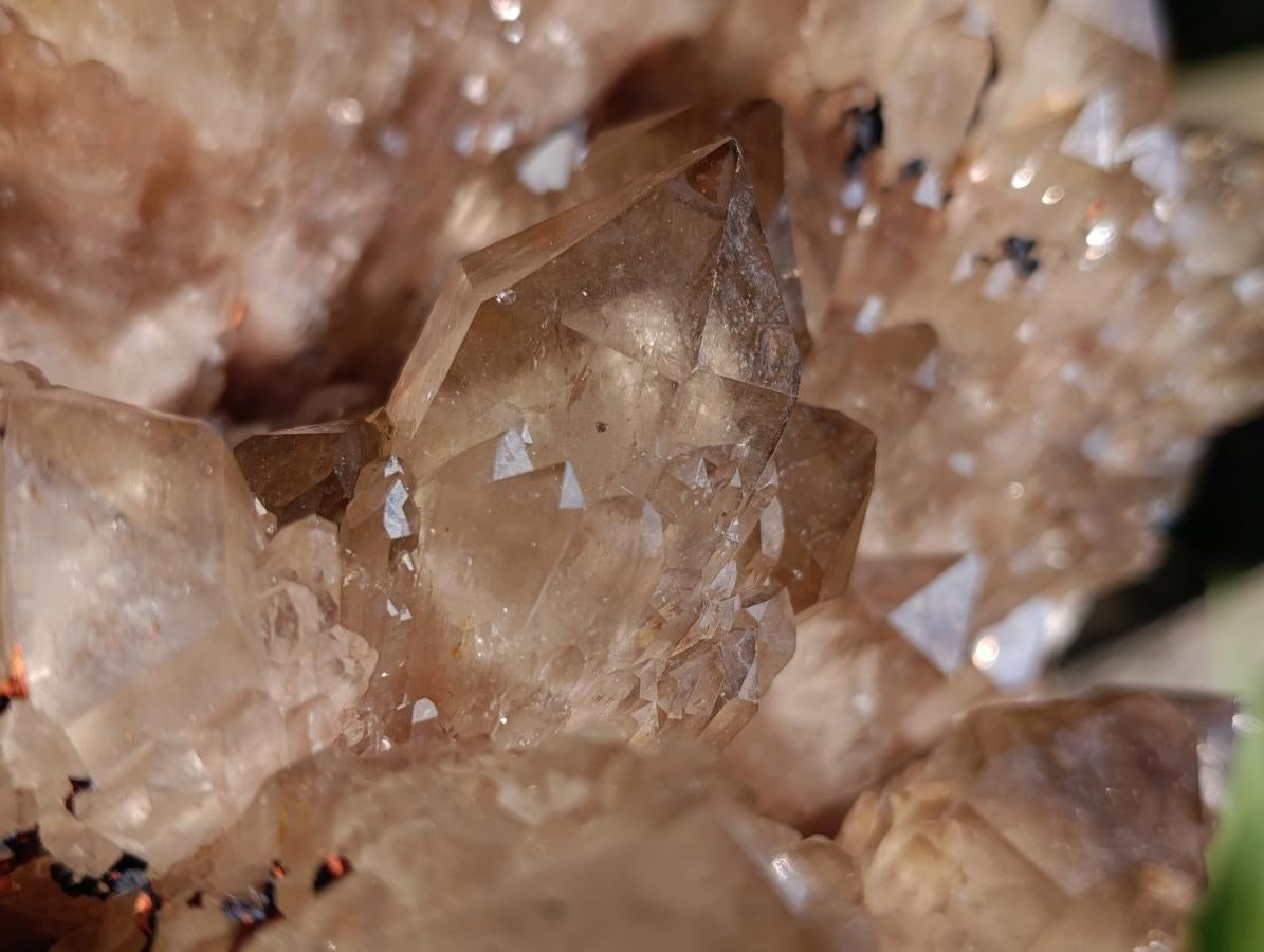 Natural XL Smokey Citrine Crystal Cluster x 1 From Luena, Congo