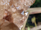Natural XL Smokey Citrine Crystal Cluster x 1 From Luena, Congo