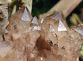 Natural XL Smokey Citrine Crystal Cluster x 1 From Luena, Congo