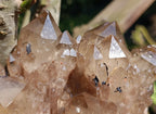 Natural XL Smokey Citrine Crystal Cluster x 1 From Luena, Congo