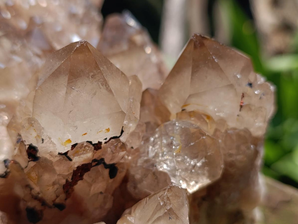 Natural XL Smokey Citrine Crystal Cluster x 1 From Luena, Congo