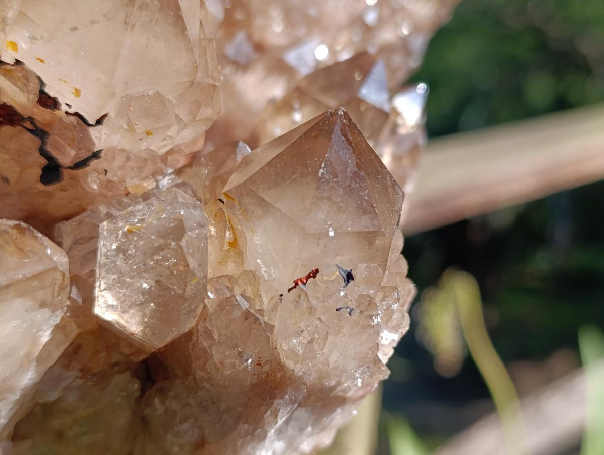Natural XL Smokey Citrine Crystal Cluster x 1 From Luena, Congo
