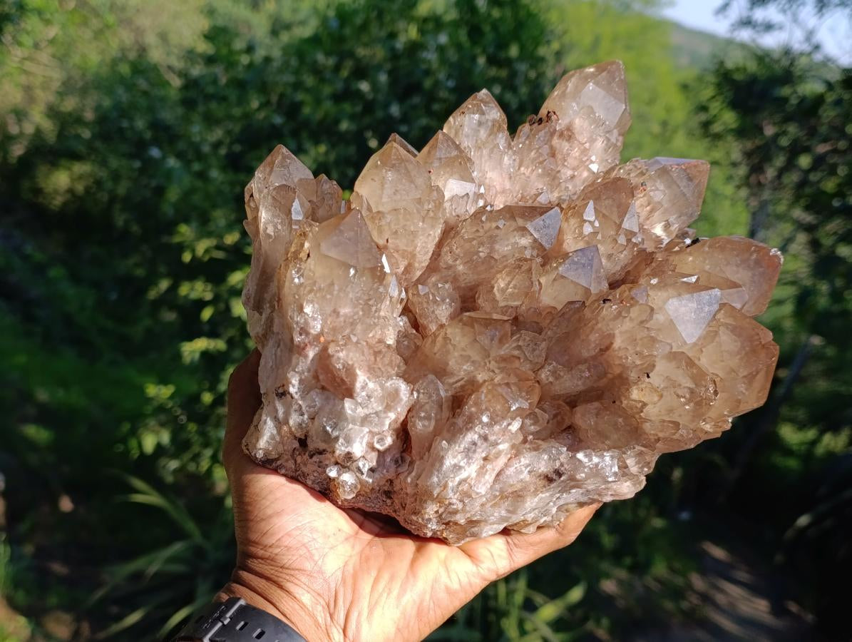 Natural XL Smokey Citrine Crystal Cluster x 1 From Luena, Congo