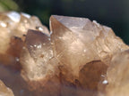Natural XL Smokey Citrine Crystal Cluster x 1 From Luena, Congo
