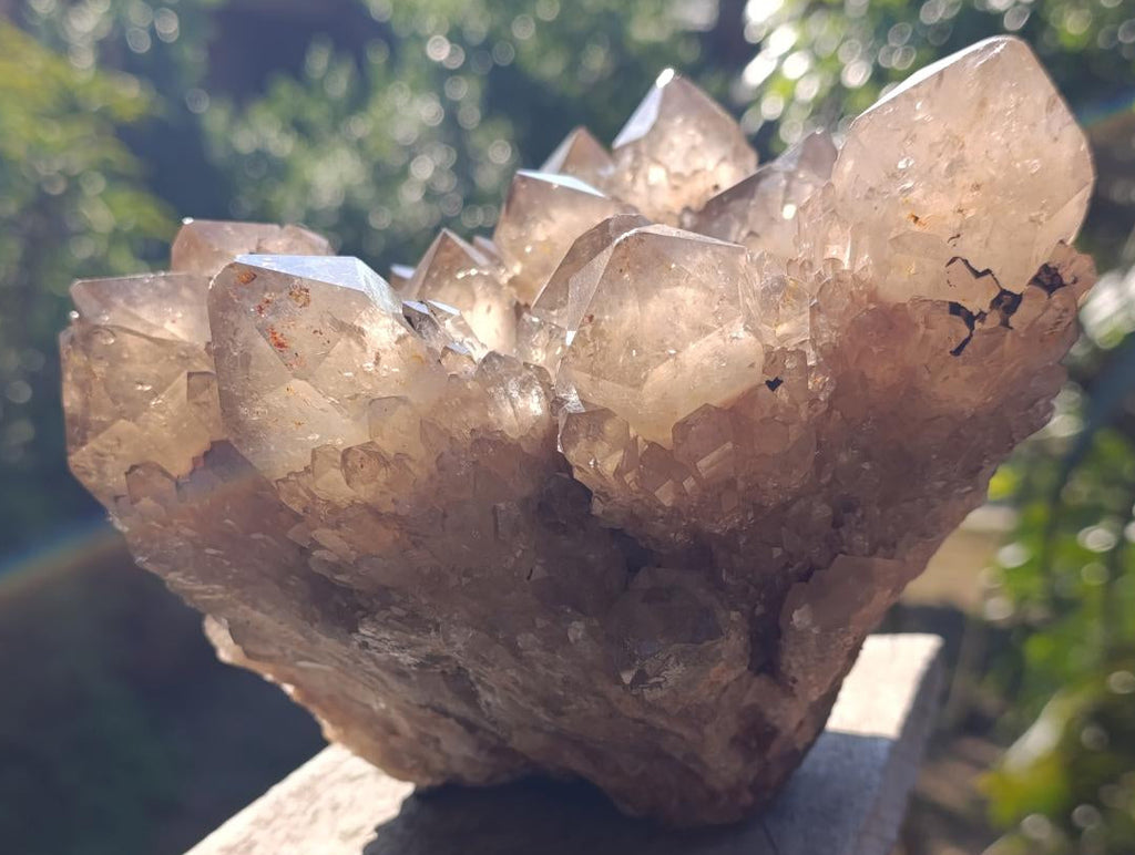 Natural XL Smokey Citrine Crystal Cluster x 1 From Luena, Congo