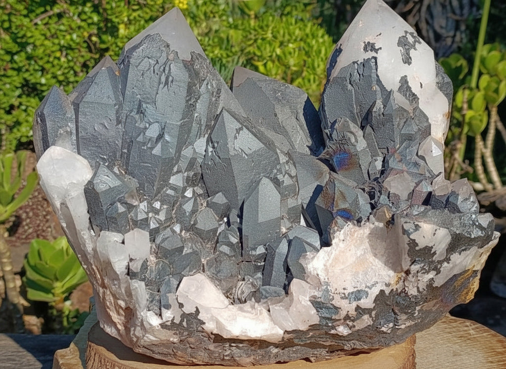 Natural XXXL Blacknite Quartz Cluster THE Largest in the World x 1 From Ambositra, Madagascar