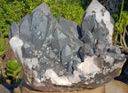 Natural XXXL Blacknite Quartz Cluster THE Largest in the World x 1 From Ambositra, Madagascar