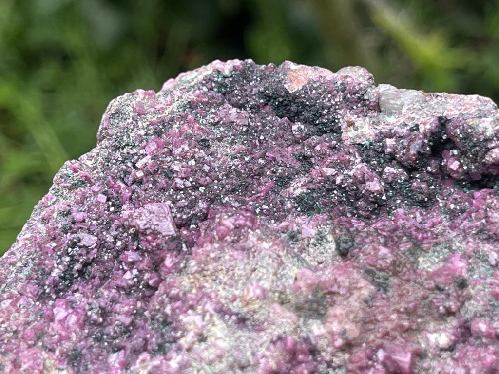 Natural Salrose Drusy Pink Cobaltion Dolomite Specimen x 1 From Kakanda, Congo