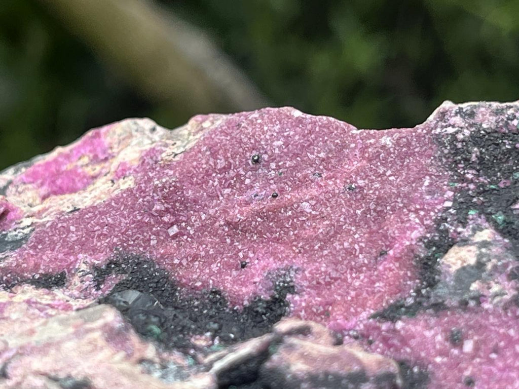 Natural Salrose Drusy Pink Cobaltion Dolomite Specimen x 1 From Kakanda, Congo