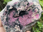 Natural Salrose Drusy Pink Cobaltion Dolomite Specimen x 1 From Kakanda, Congo